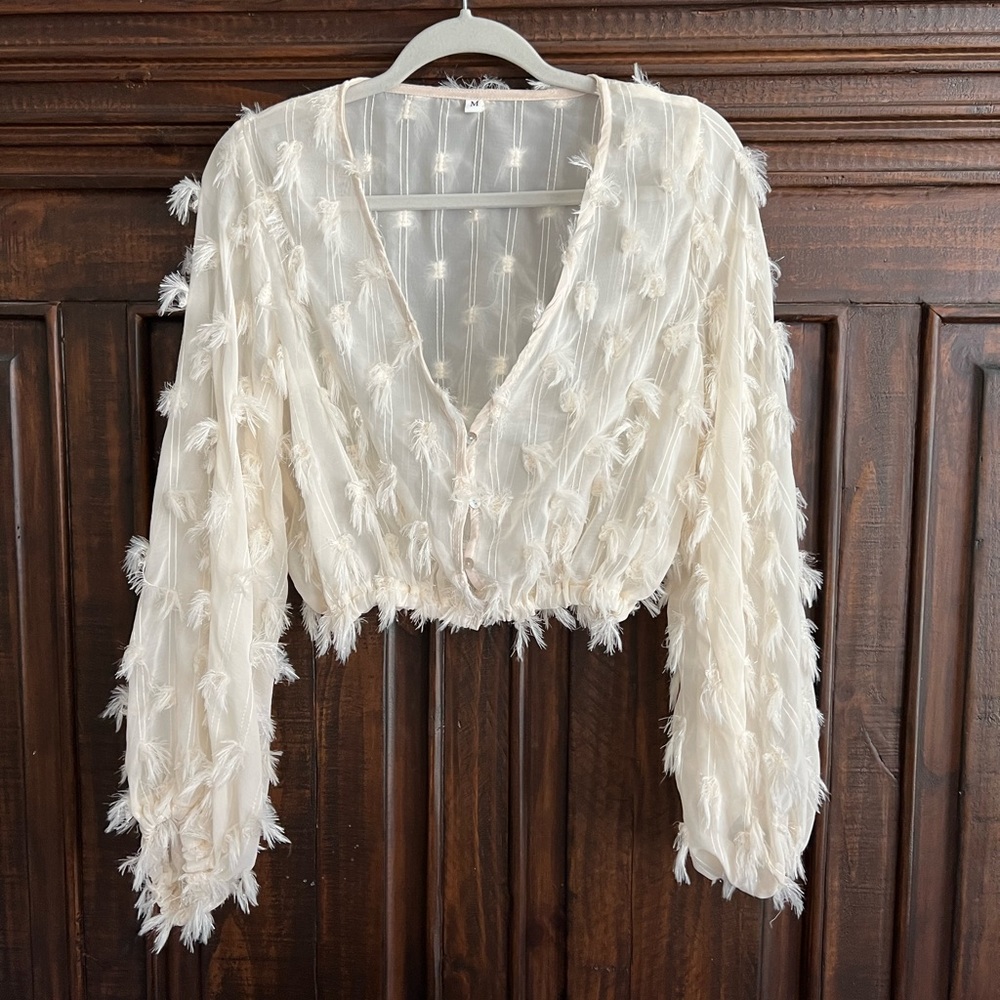 Shein | Sheer Off-White Long Sleeve Crop | Size Medium